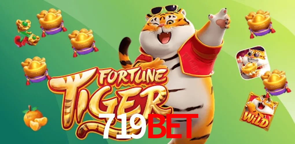 Experiência VIP 719bet